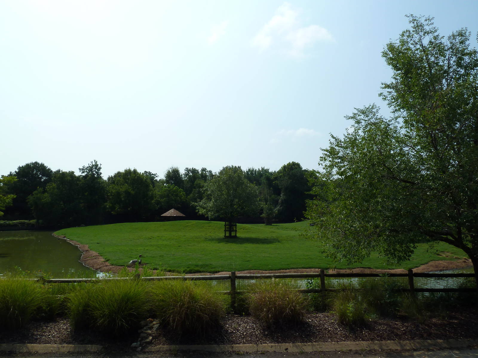 Multi-Acre Sika Deer/Axis Deer/Fallow Deer/Banteng/Muntjac/Sarus Crane Exhi