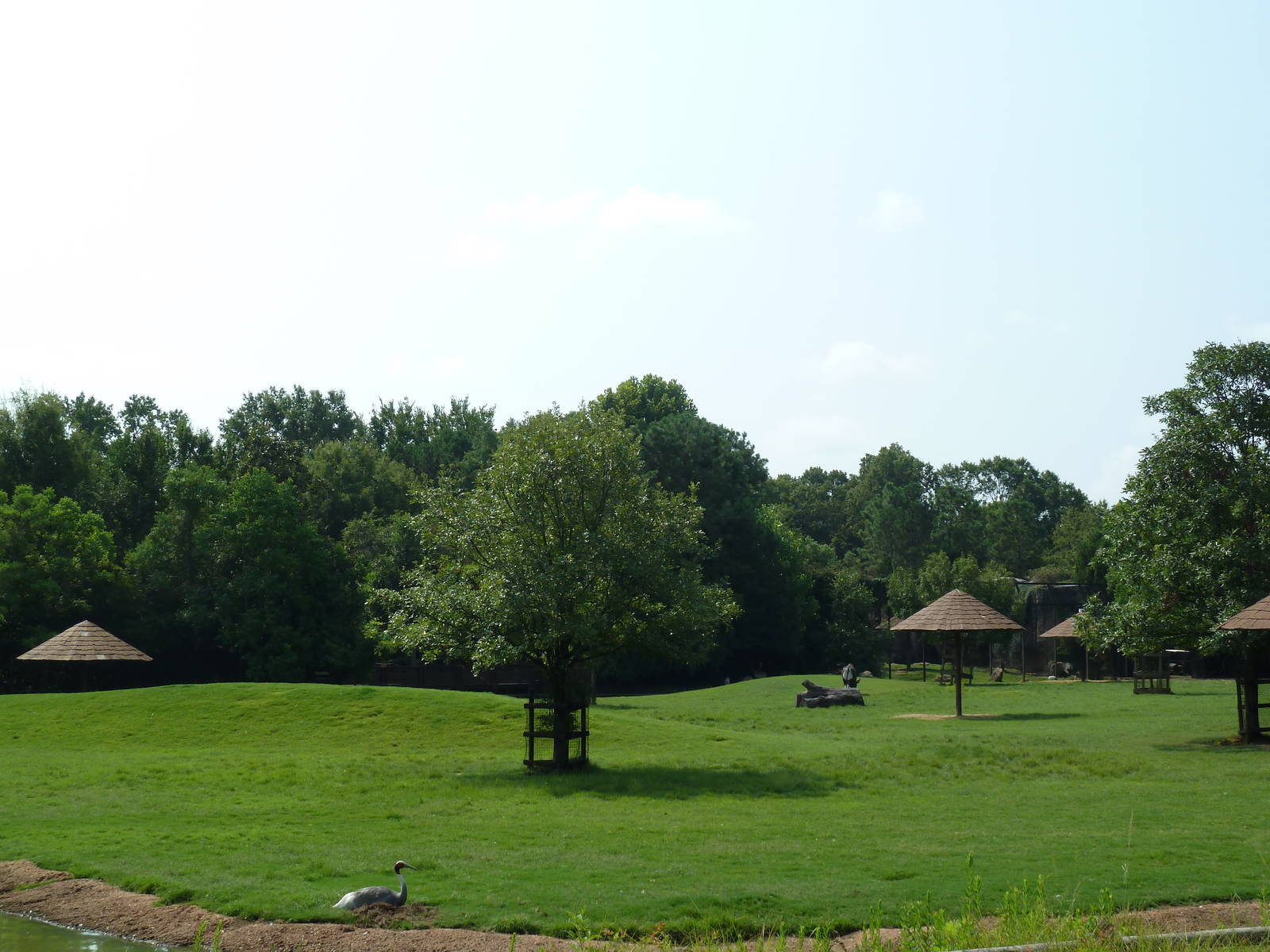 Multi-Acre Sika Deer/Axis Deer/Fallow Deer/Banteng/Muntjac/Sarus Crane Exhi