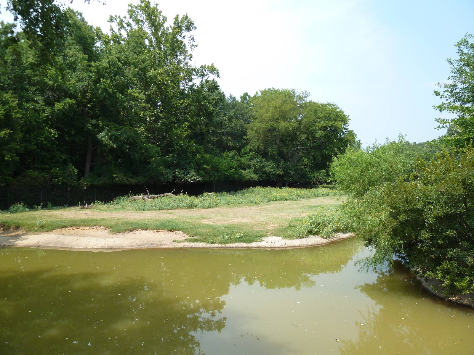 Multi-Acre Texas Longhorn/White-Tailed Deer/Bison/Sandhill Crane Exhibit