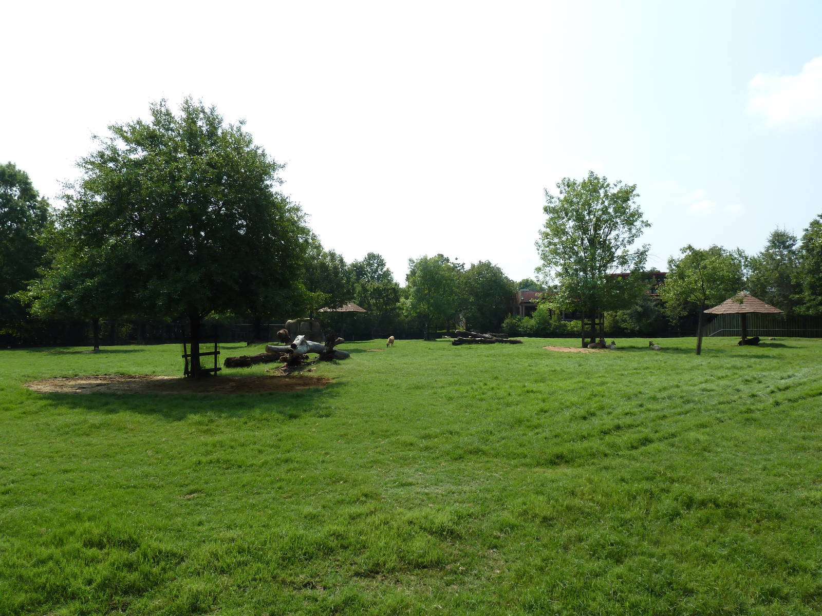 Multi-Acre White-Tailed Deer/Bison/Bighorn Sheep/Elk/Wild Turkey Exhibit