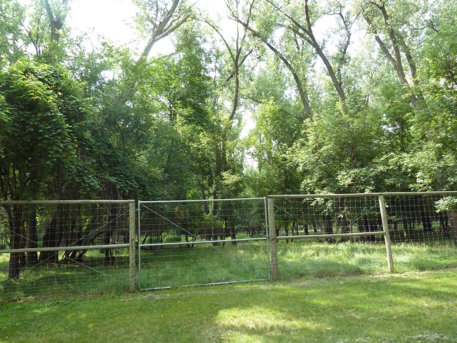 Multi-Acre White-Tailed Deer/Mule Deer Exhibit