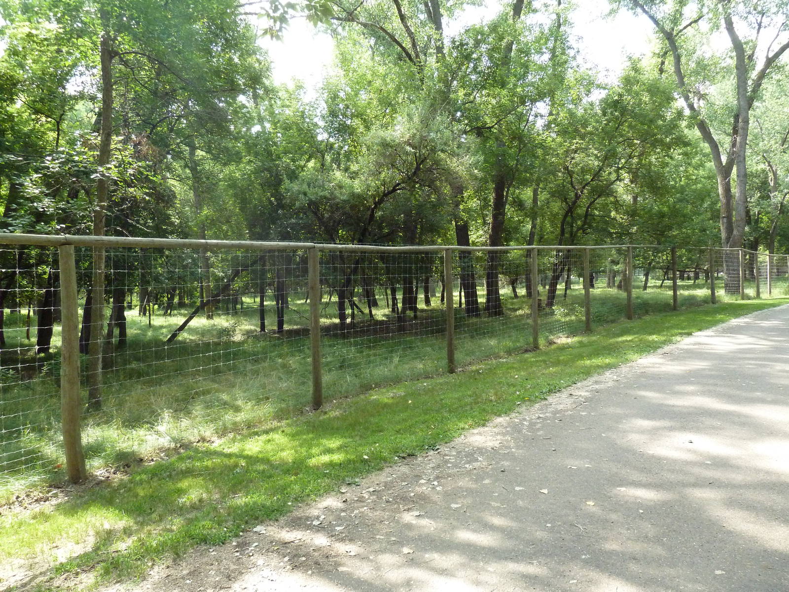 Multi-Acre White-Tailed Deer/Mule Deer Exhibit