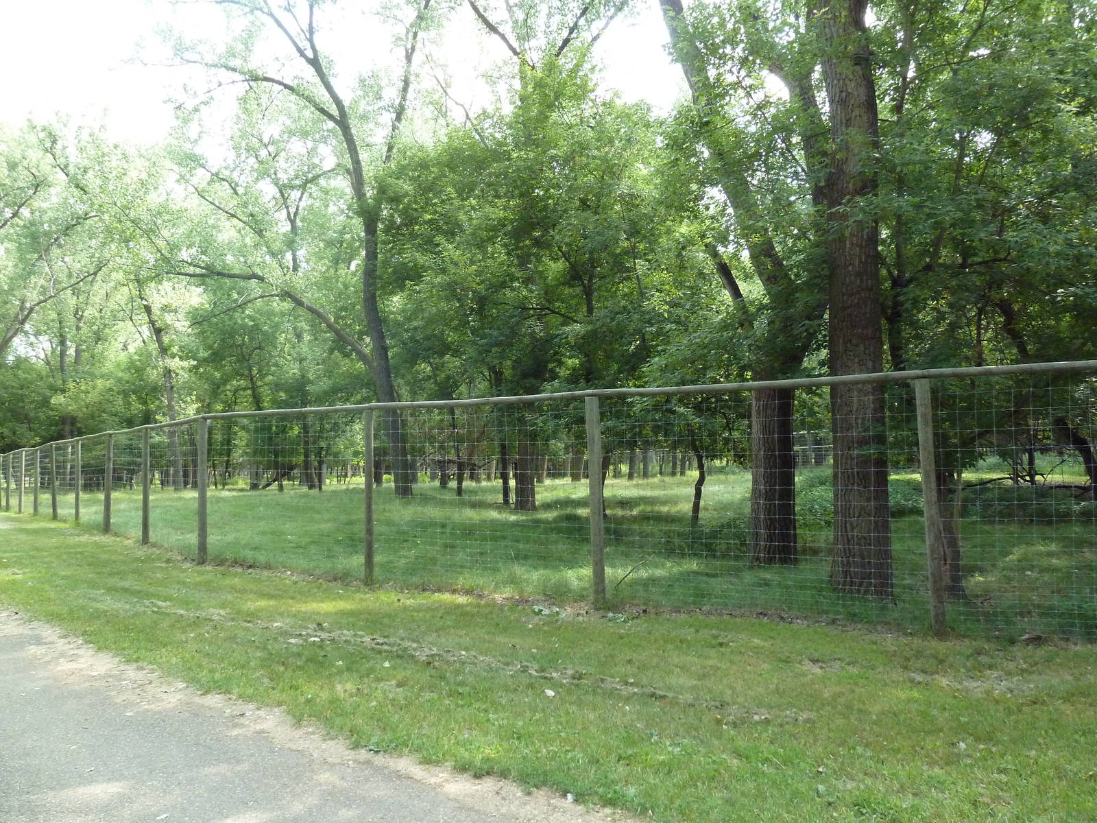 Multi-Acre White-Tailed Deer/Mule Deer Exhibit