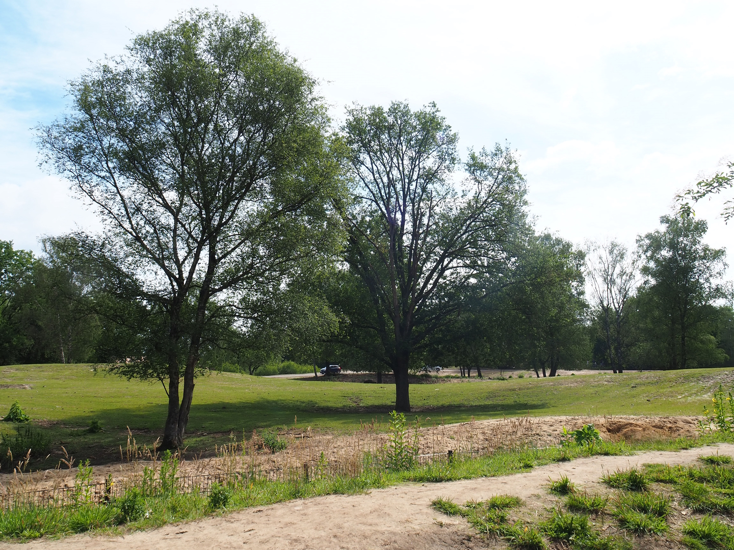 Multi-hectare mixed savanna exhibit seen from the walking safari, 2022-06-12