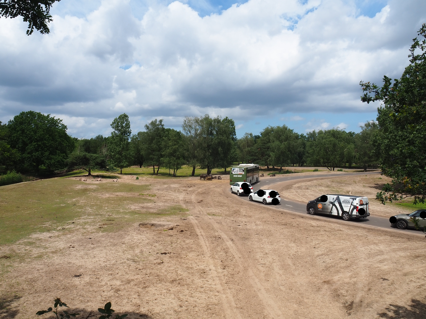 Multi-hectare mixed savanna paddock with car and bus safari, 2022-06-12