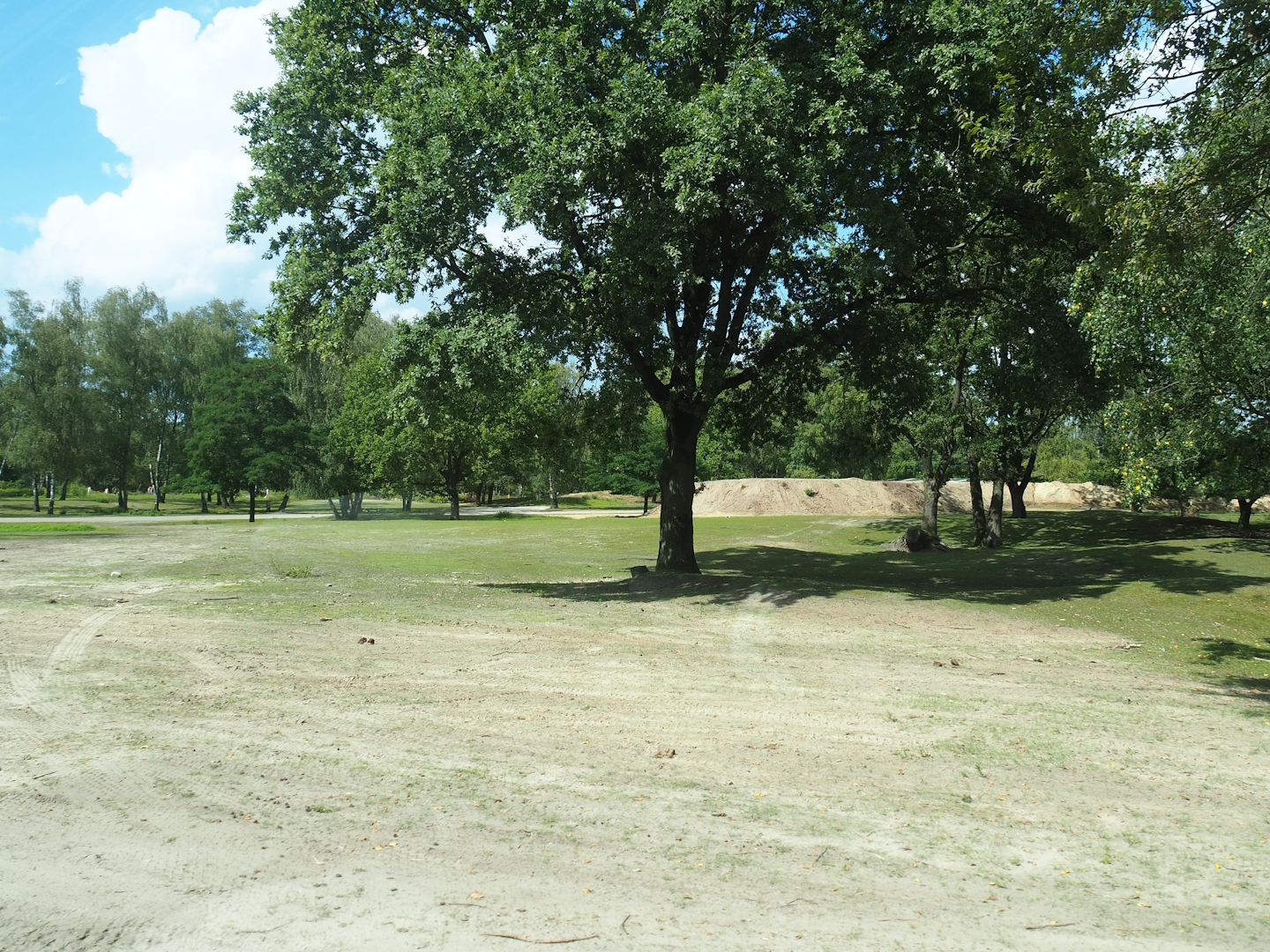 Multi-hectare savanna drive through-exhibit, 2023-08-15