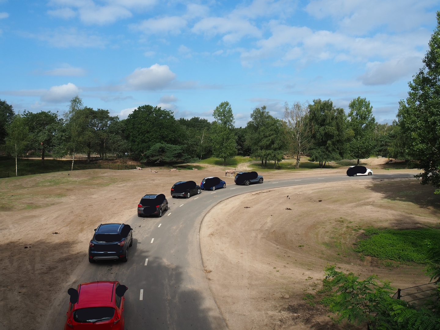 Multi-hectare savanna drive through-exhibit seen from walking safari, 2023-08-15