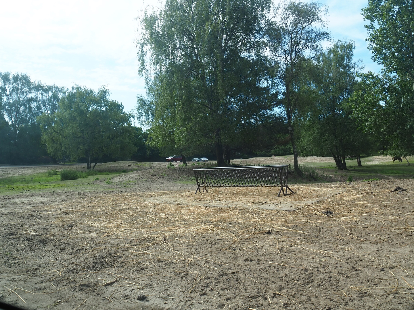 Multi-hectare savanna exhibit seen from car safari, 2022-06-12