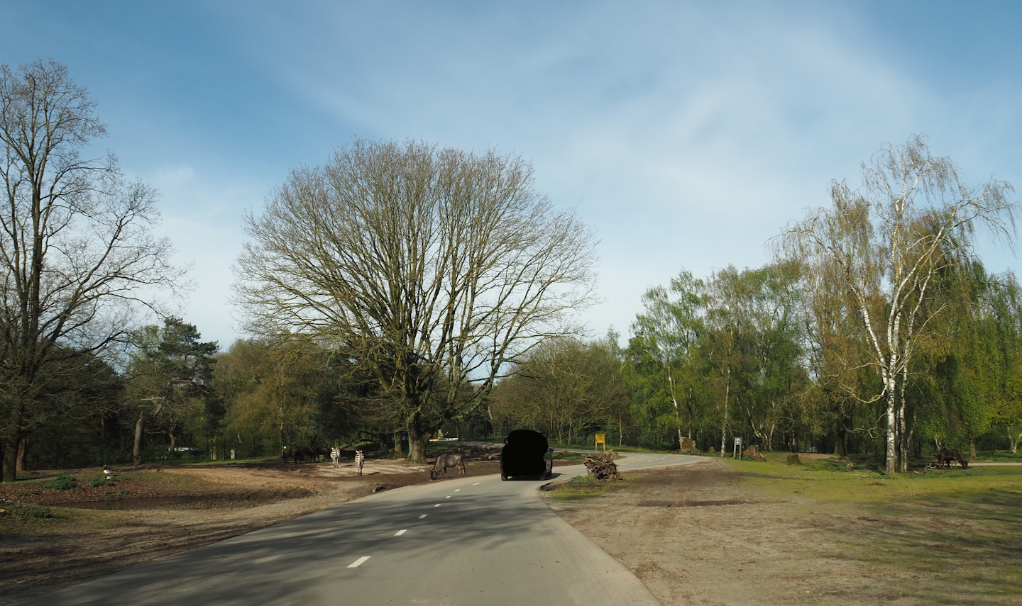 Multi-hectare savanna exhibit seen from car safari, 2024-04-06