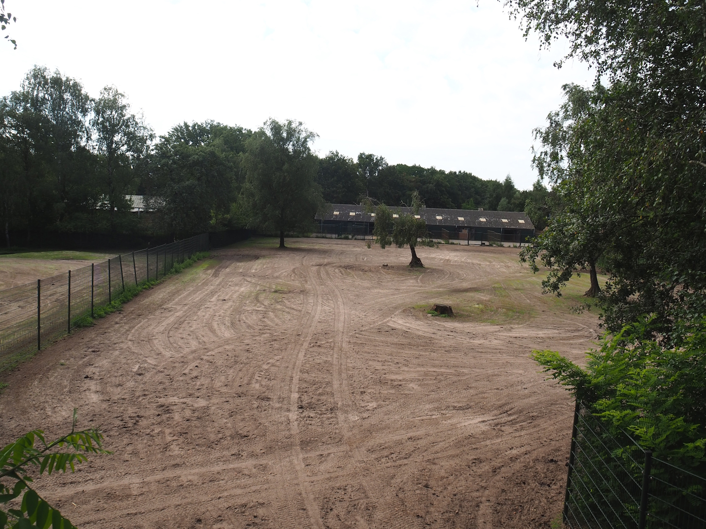 Multi-hectare savanna exhibit separation paddock, 2023-08-15