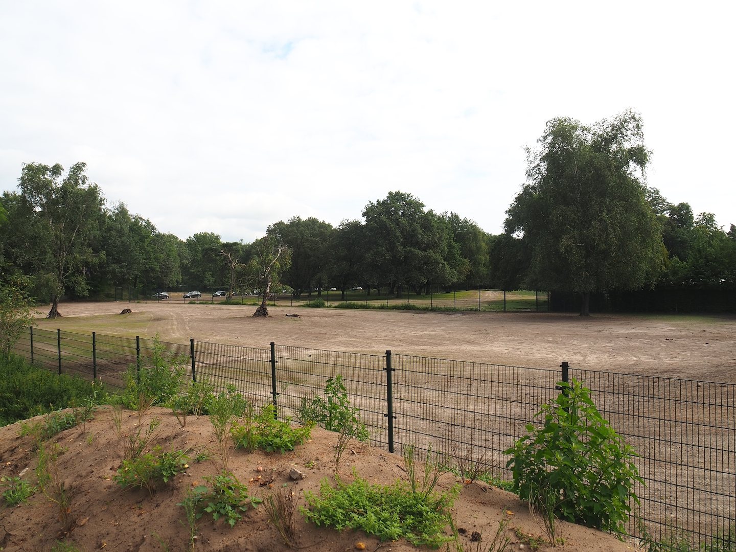 Multi-hectare savanna exhibit separation paddock, 2023-08-15