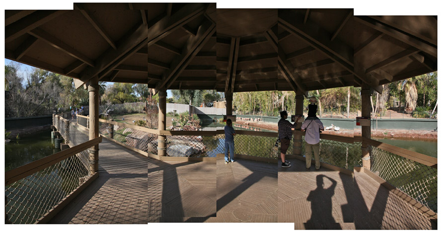 Multi species boardwalk exhibit