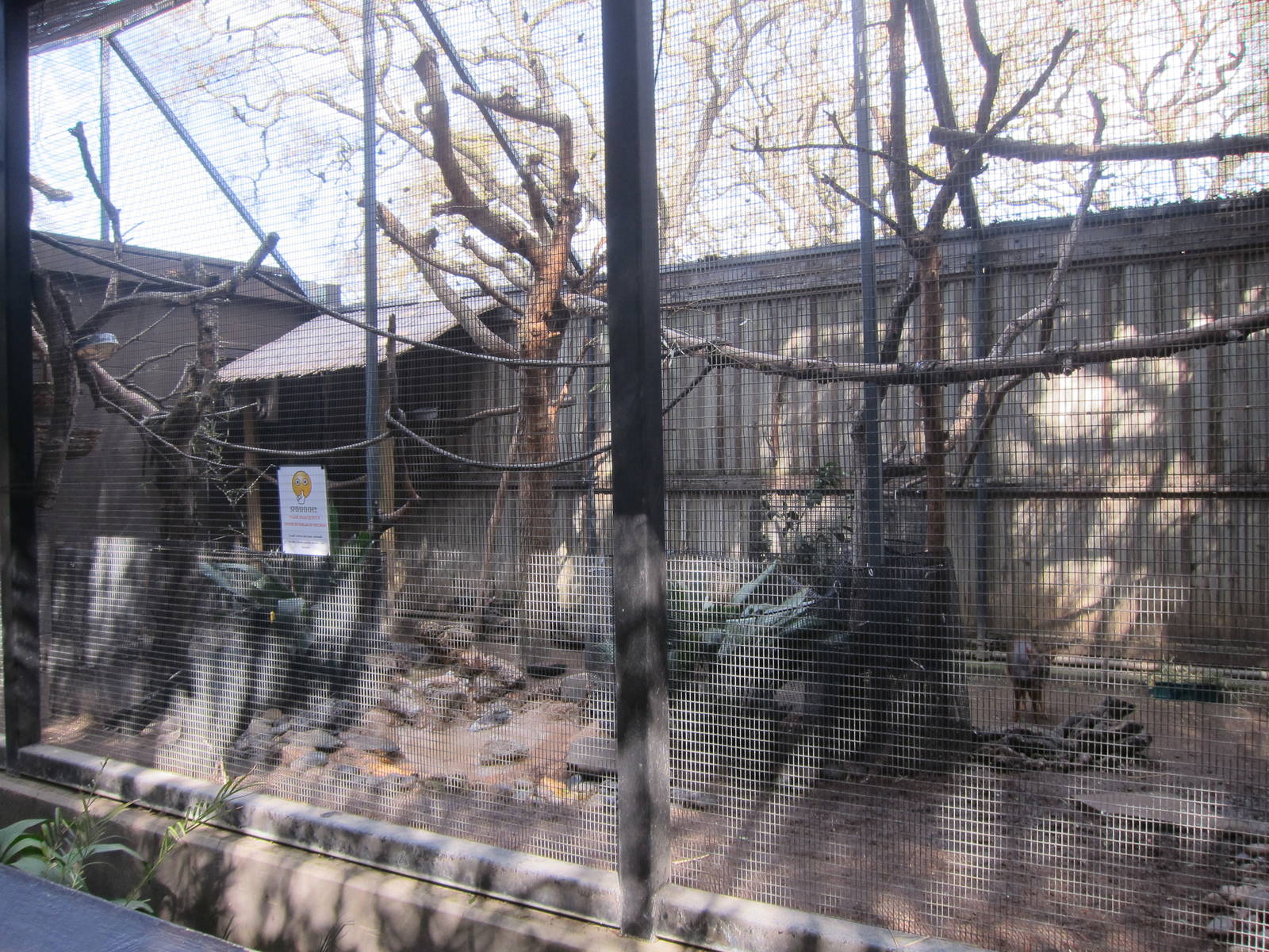 Multi-Species Exhibit