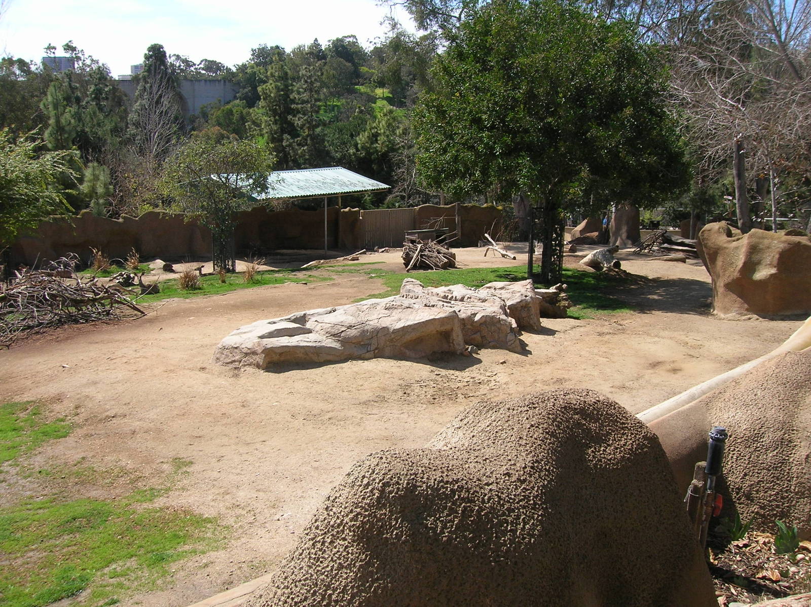 Multi Species Hoofstock Exhibit 3-4-09