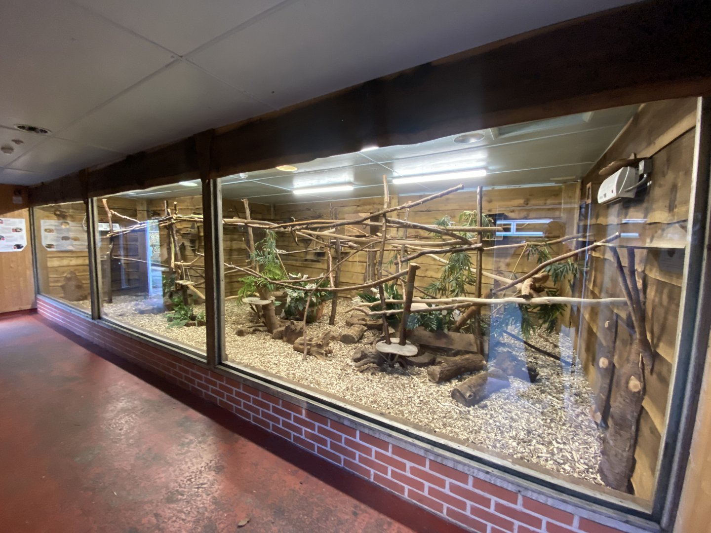 Multi-species South American exhibit 260124