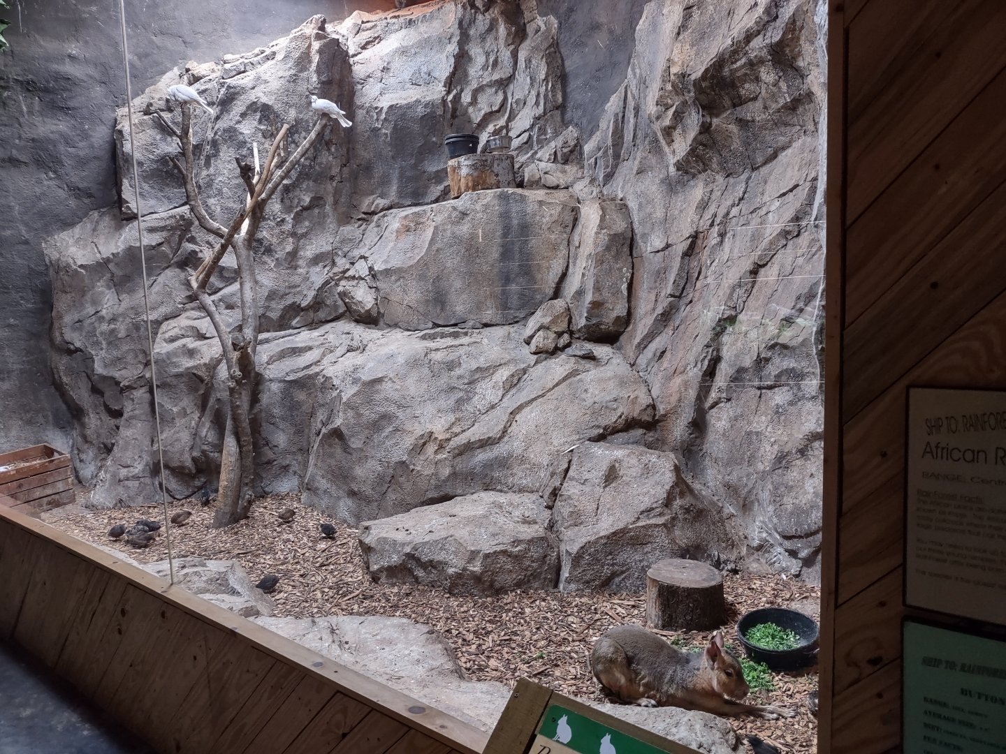 Multi specises enclosure