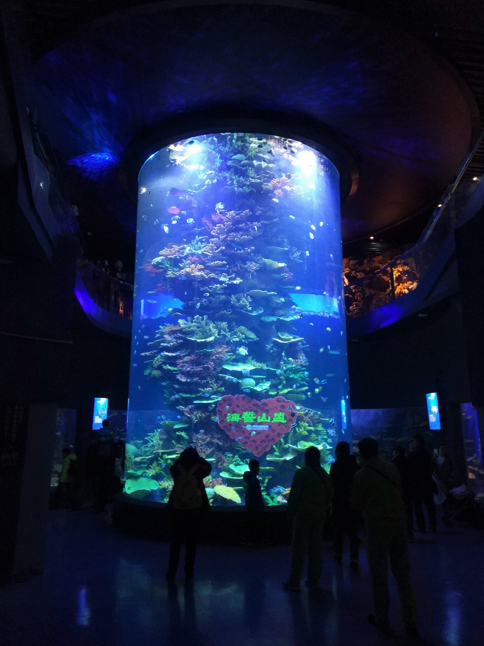 Multi-storey Reef Tank