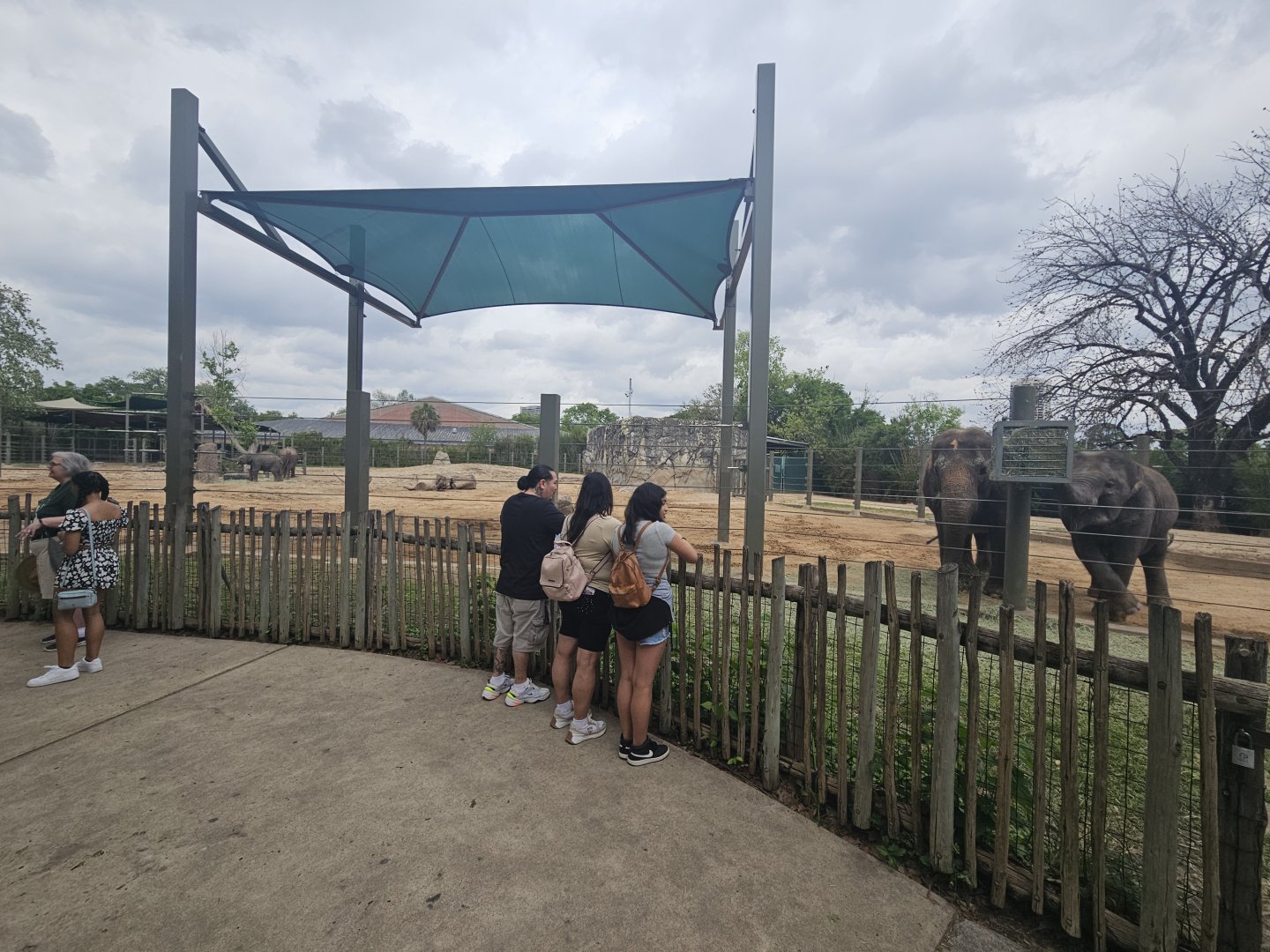 Multigenerational Herd Enclosure