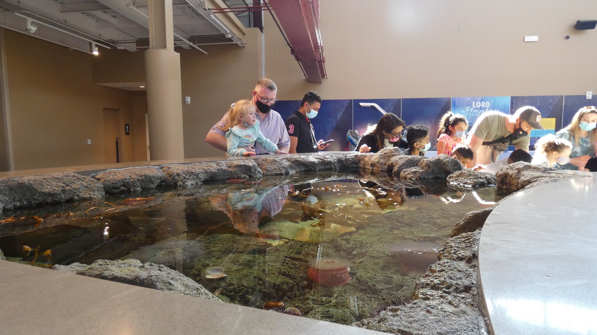 Multilevel Pacific Northwest Rockpool, Ocean Shore - Mar. 2022