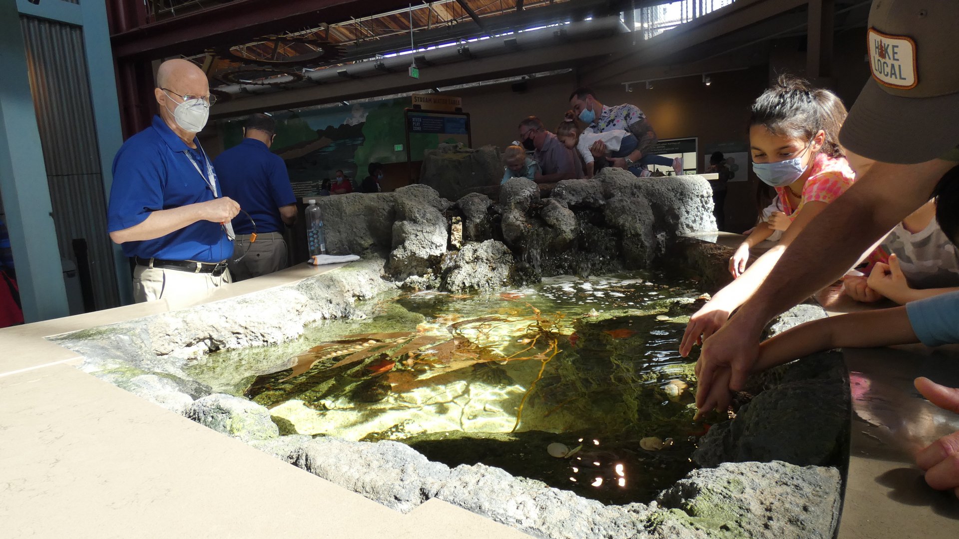 Multilevel Pacific Northwest Rockpool, Ocean Shore - Mar. 2022