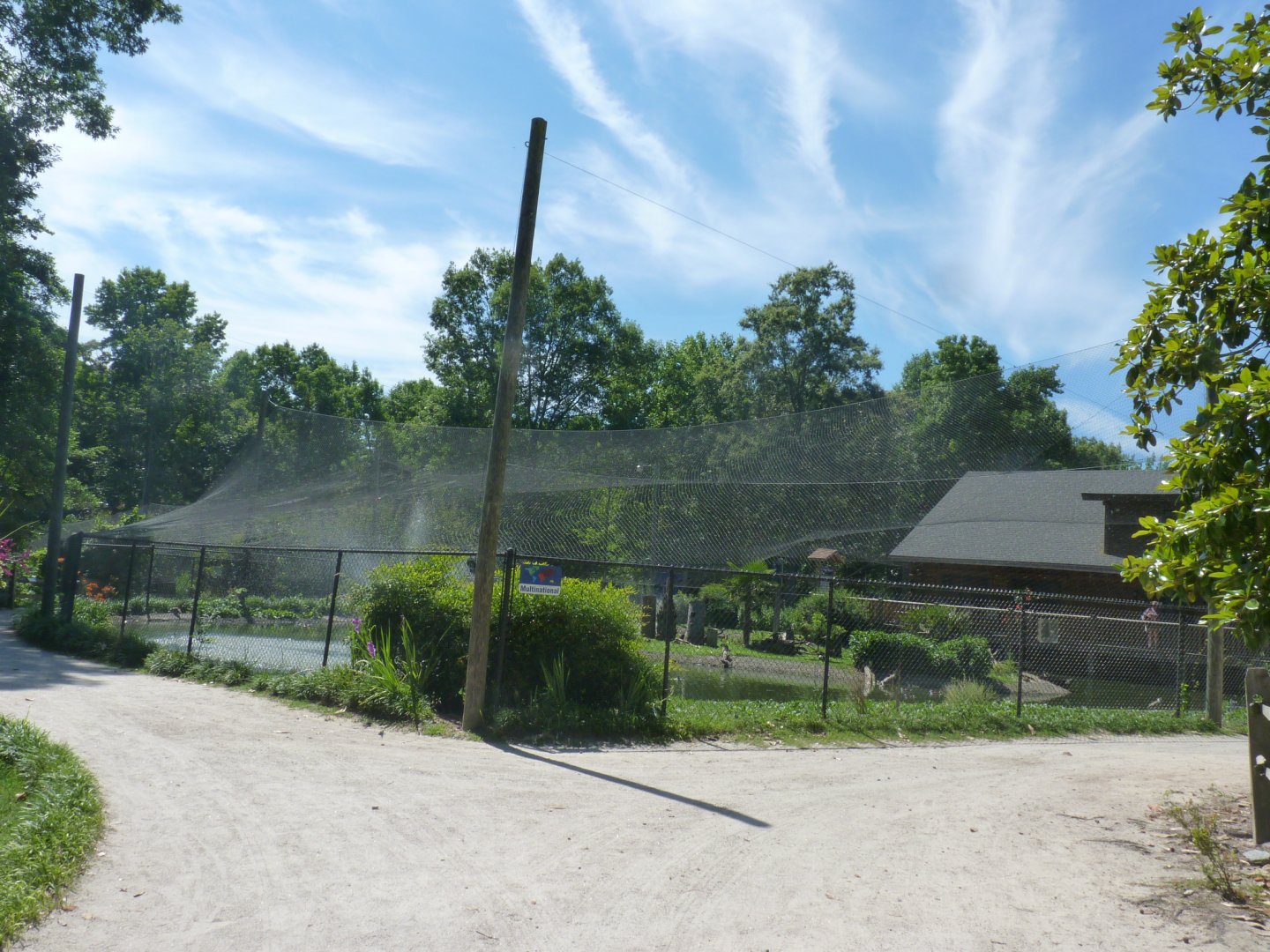 Multinational avairy