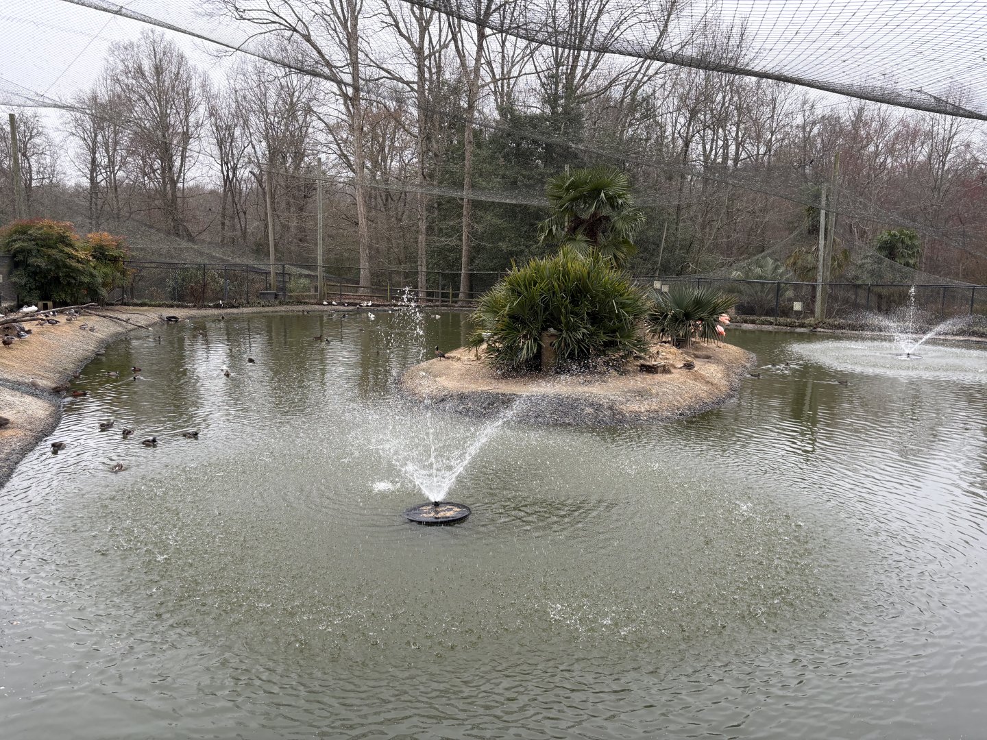 Multinational Aviary