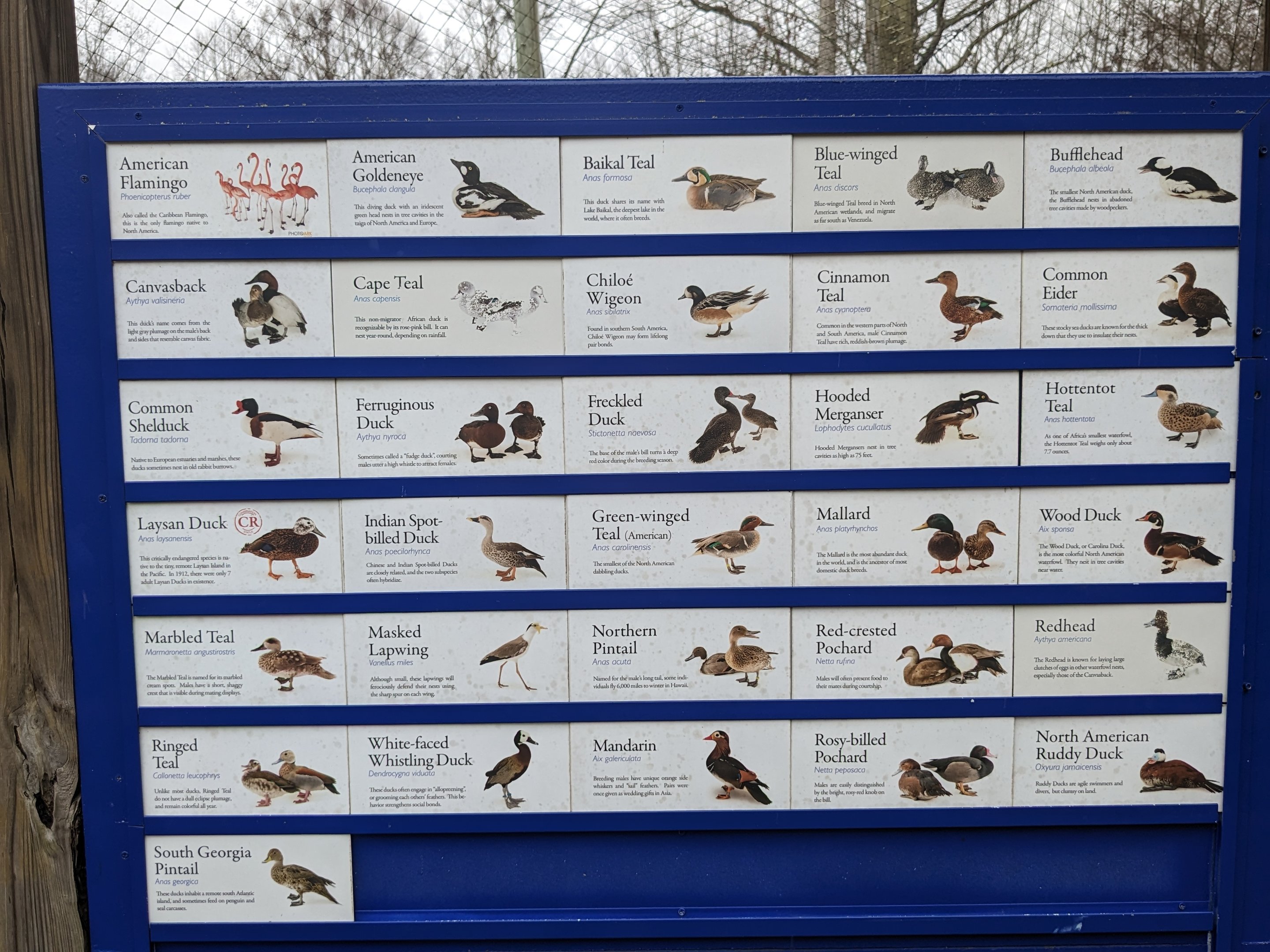 Multinational - signage