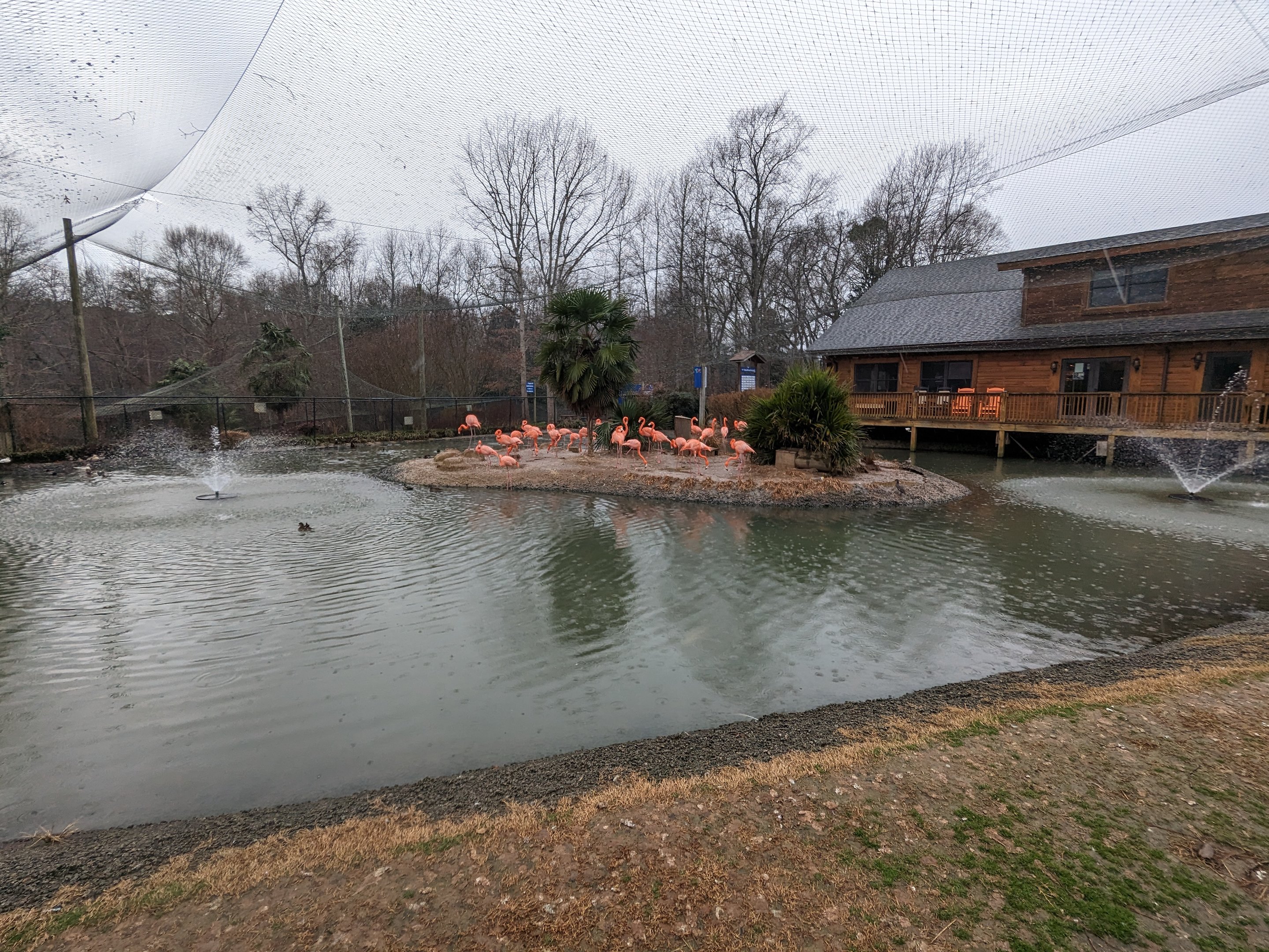 Multinational - various