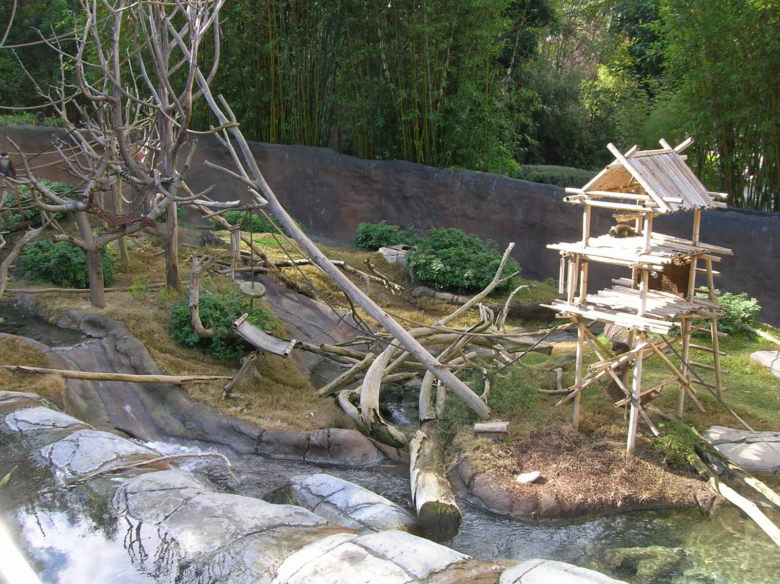 Multiple Species Exhibit 1-19-09