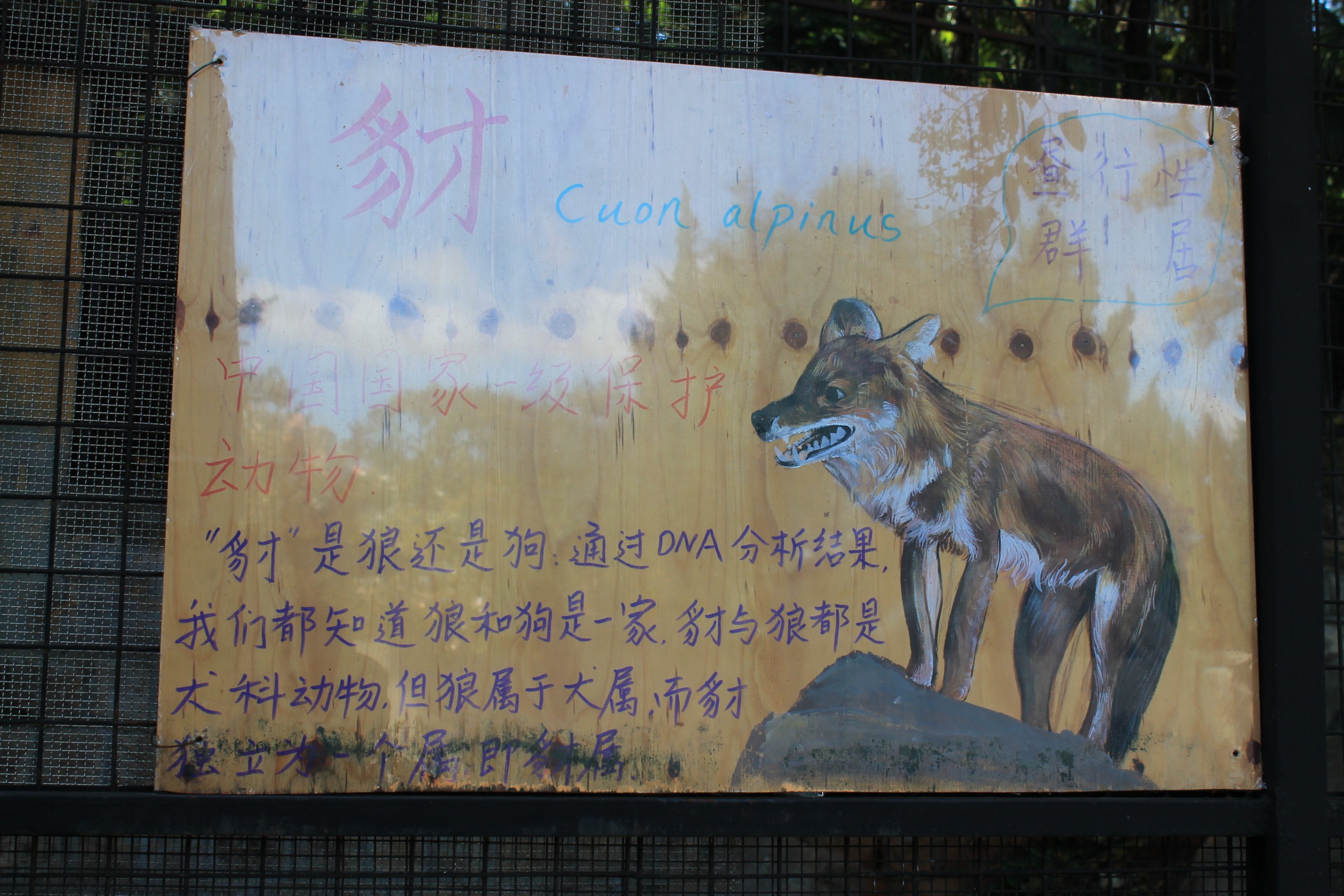 Multiple styles of signage for Dholes