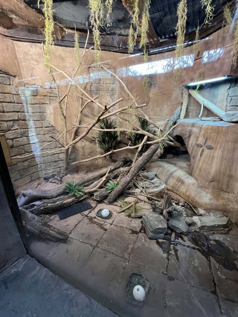 Multispecies Terrarium