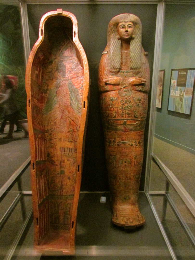 Mummy Case
