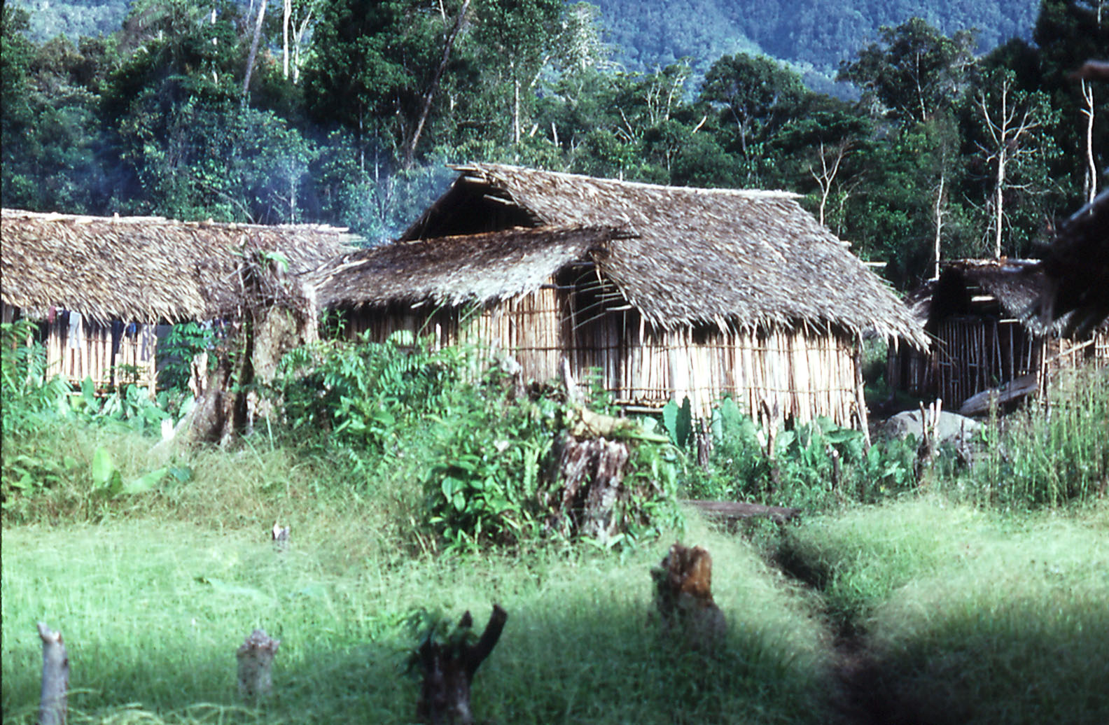Munbil huts - Munbil, West Sepik, PNG