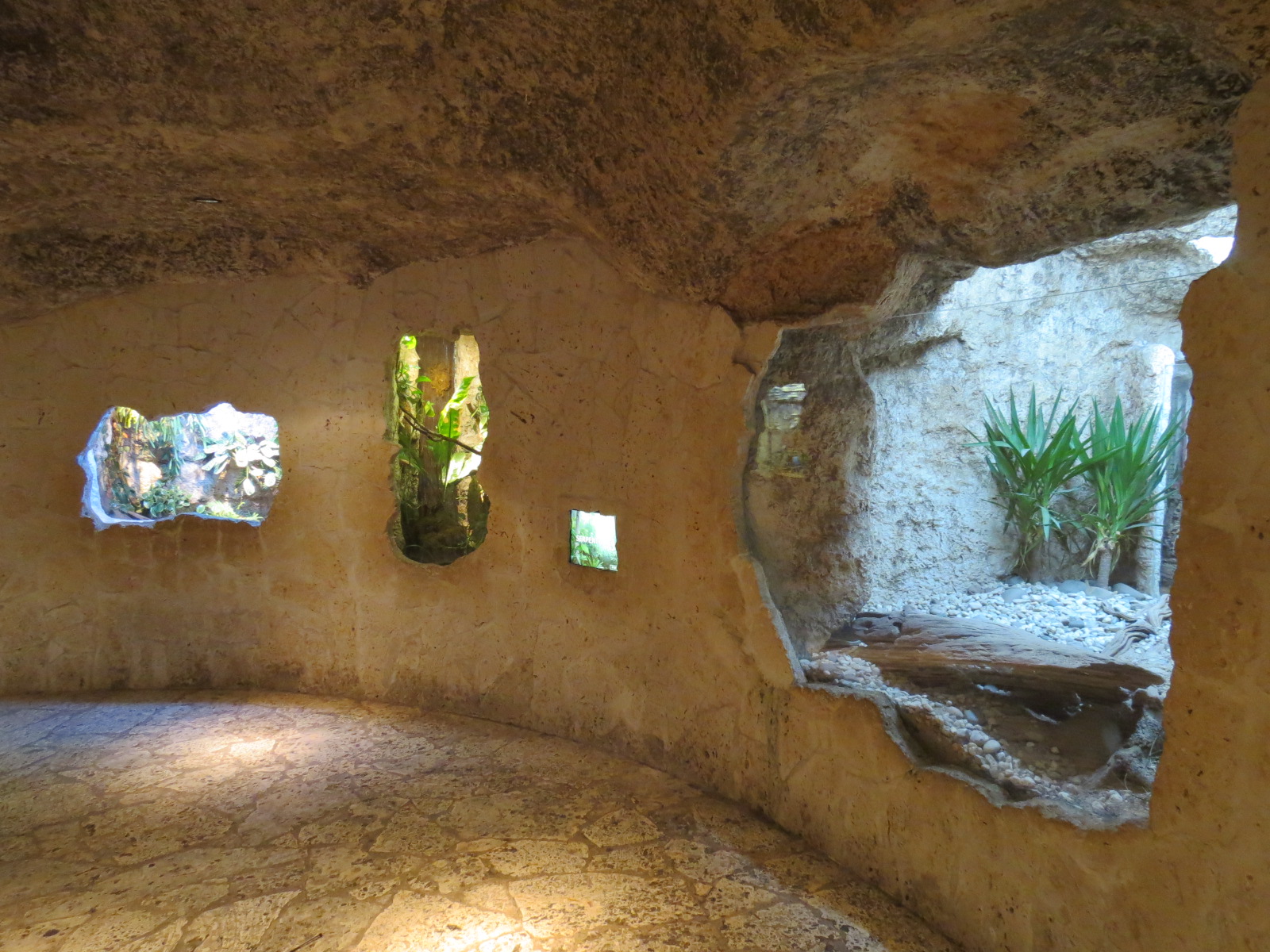 Mundo Maya - 3 Reptile Exhibits