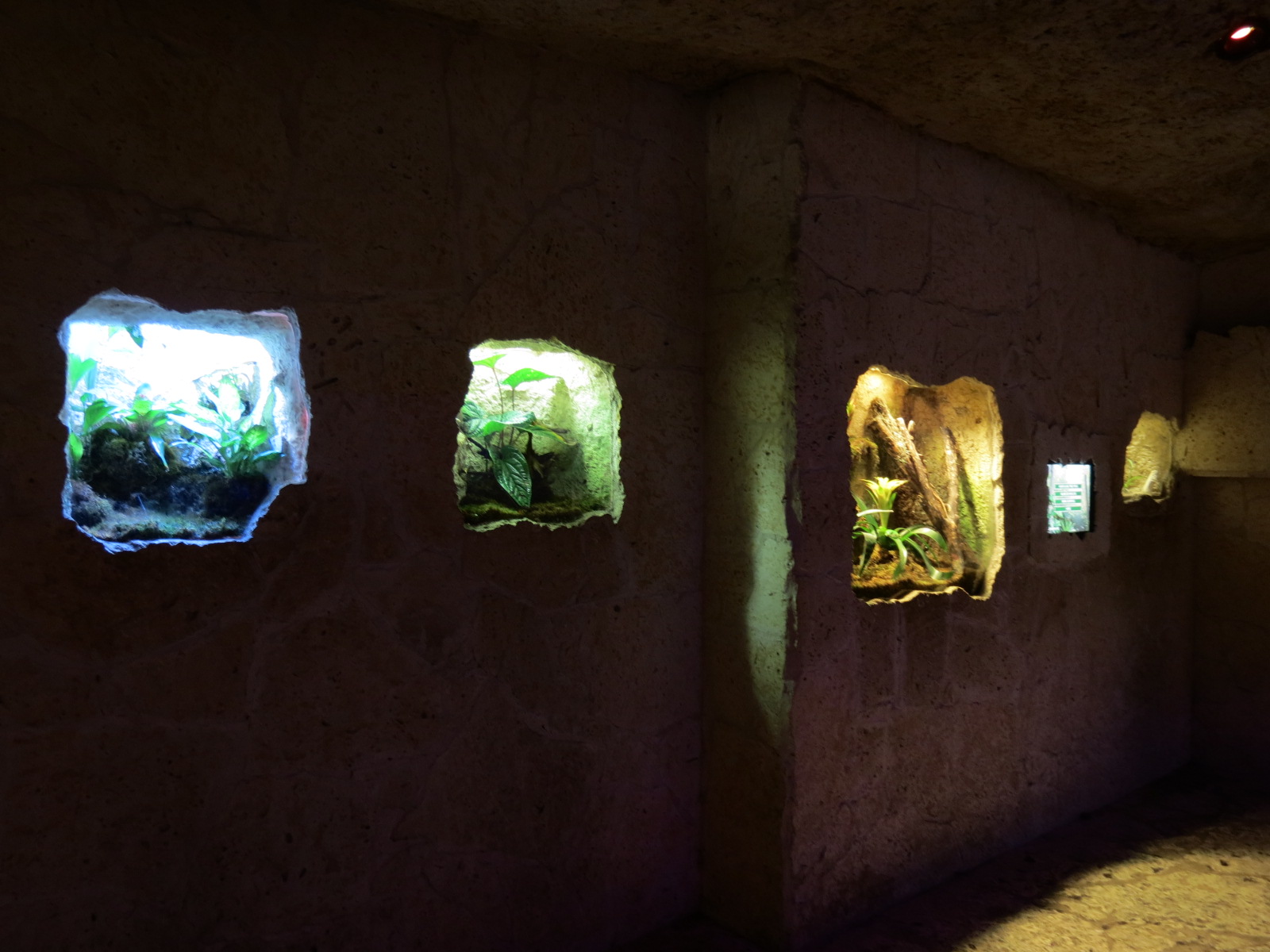 Mundo Maya - 4 Small Exhibits