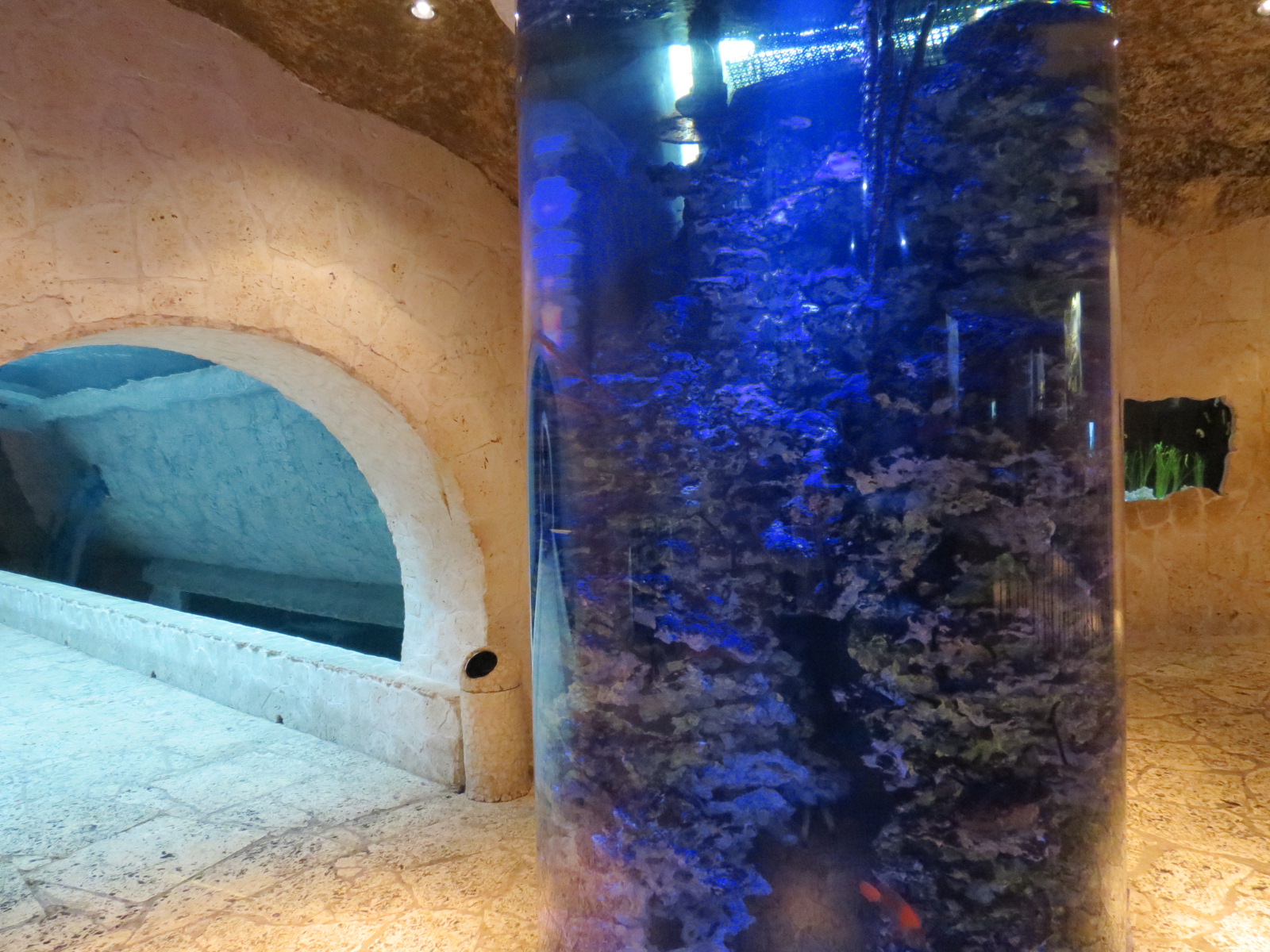 Mundo Maya - Aquarium