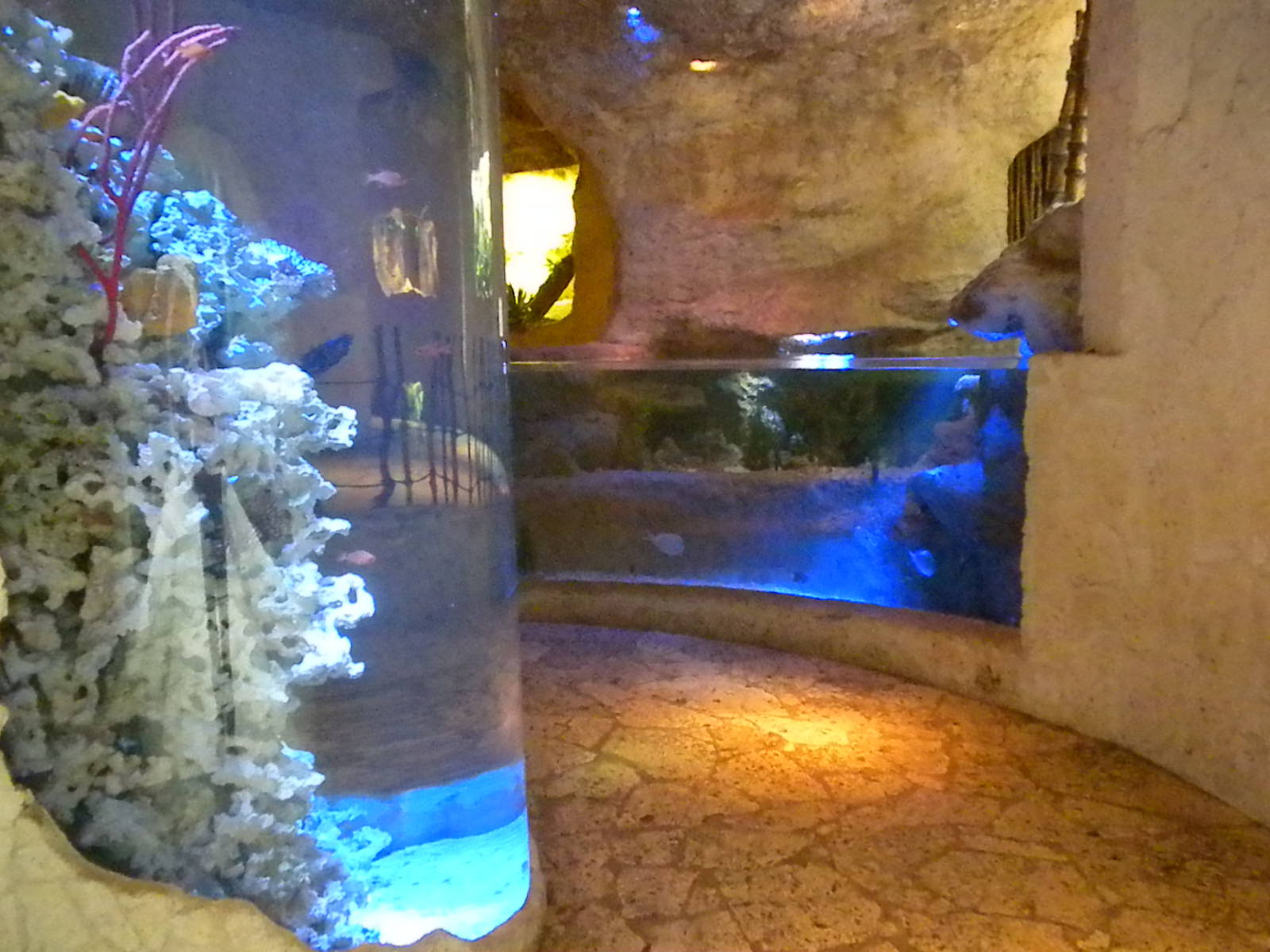 Mundo Maya aquariums