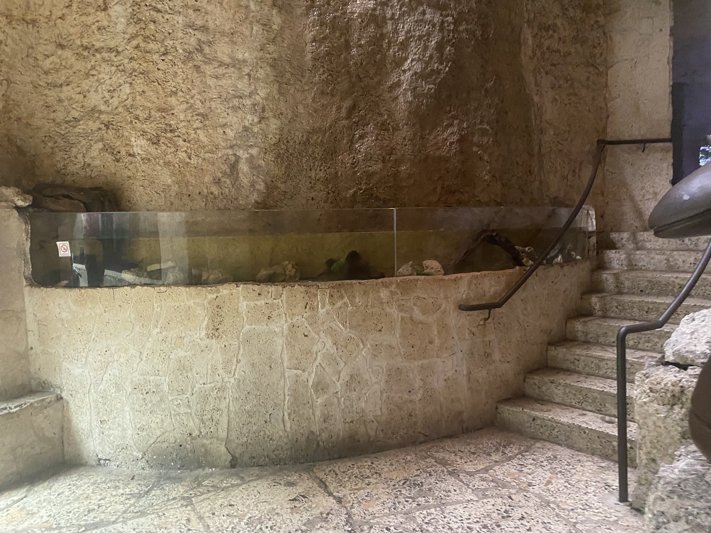 Mundo Maya - Axolotl Exhibit