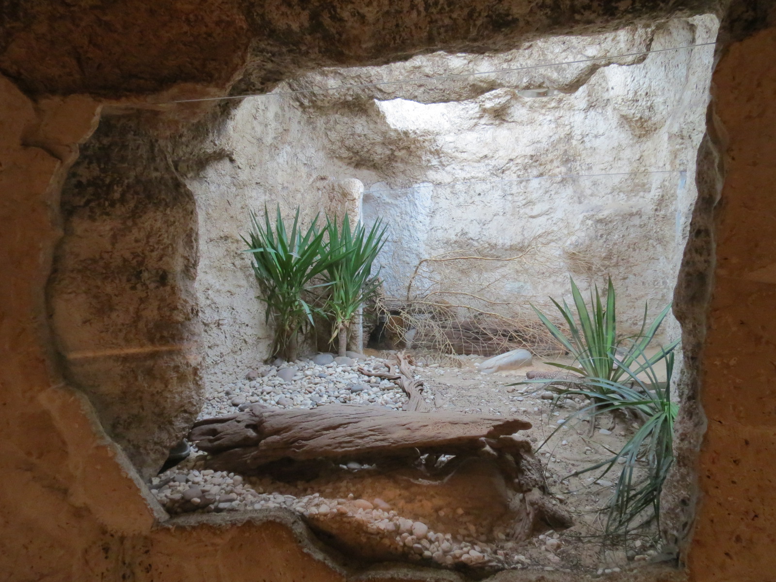 Mundo Maya - Beaded Lizard and Middle-American Rattlesnake Exhibit