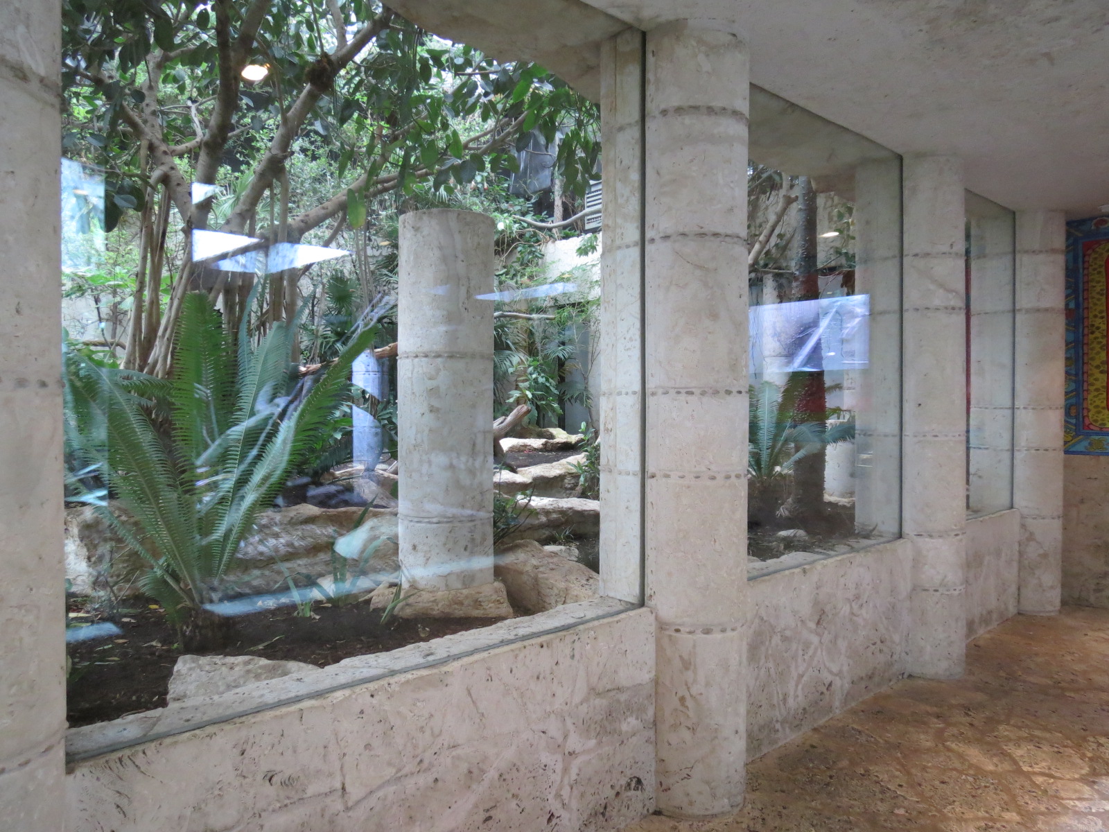 Mundo Maya - Birds of El Triunfo Exhibit