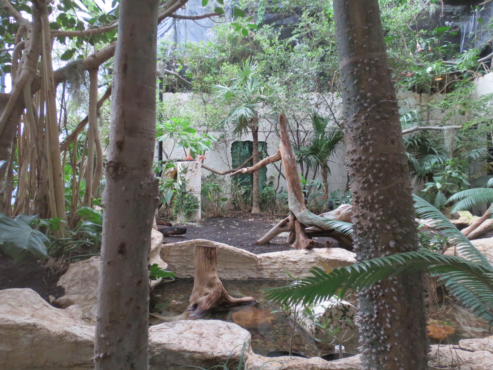 Mundo Maya - Birds of El Triunfo Exhibit