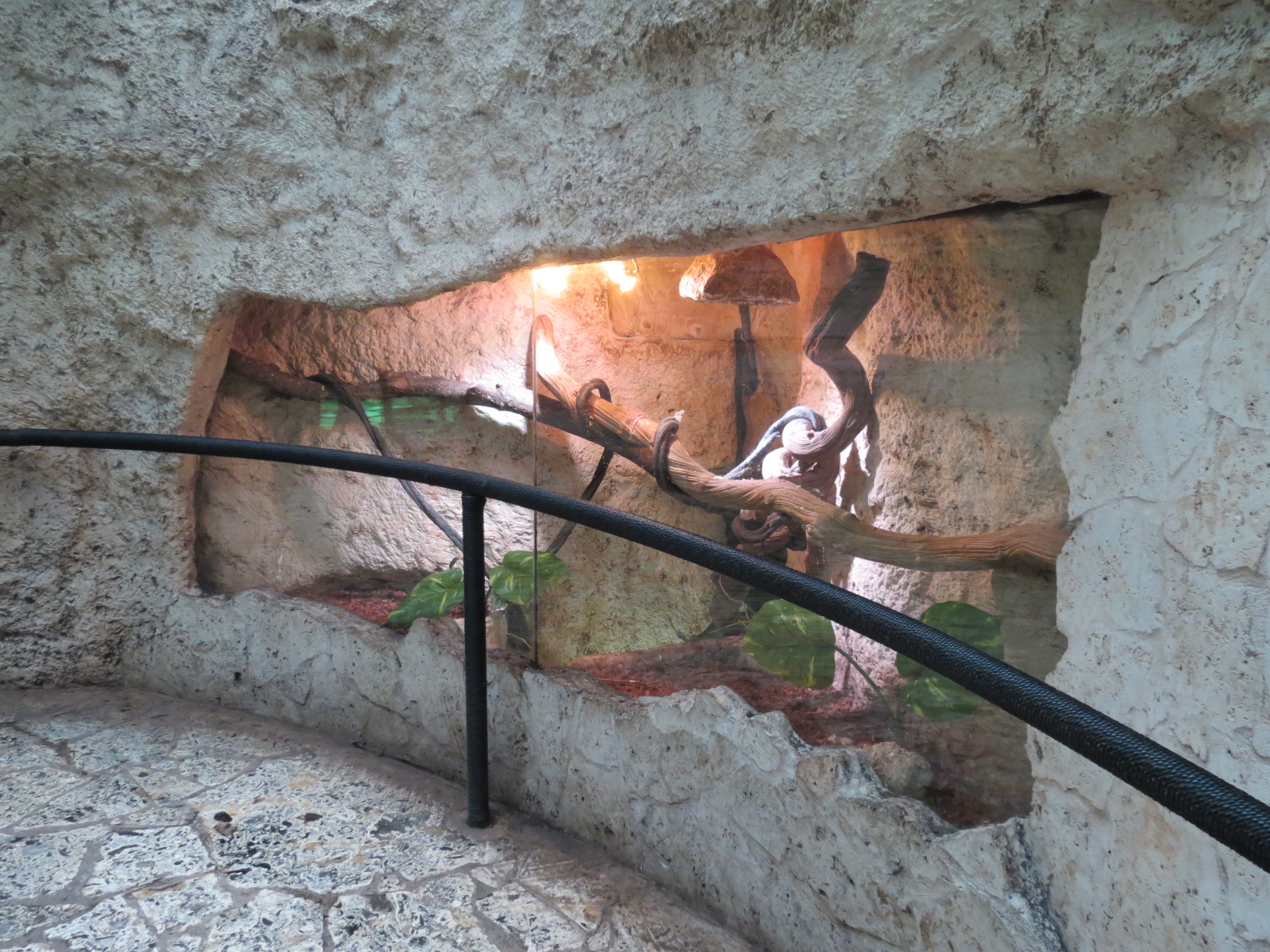 Mundo Maya - Boa Constrictor Exhibit