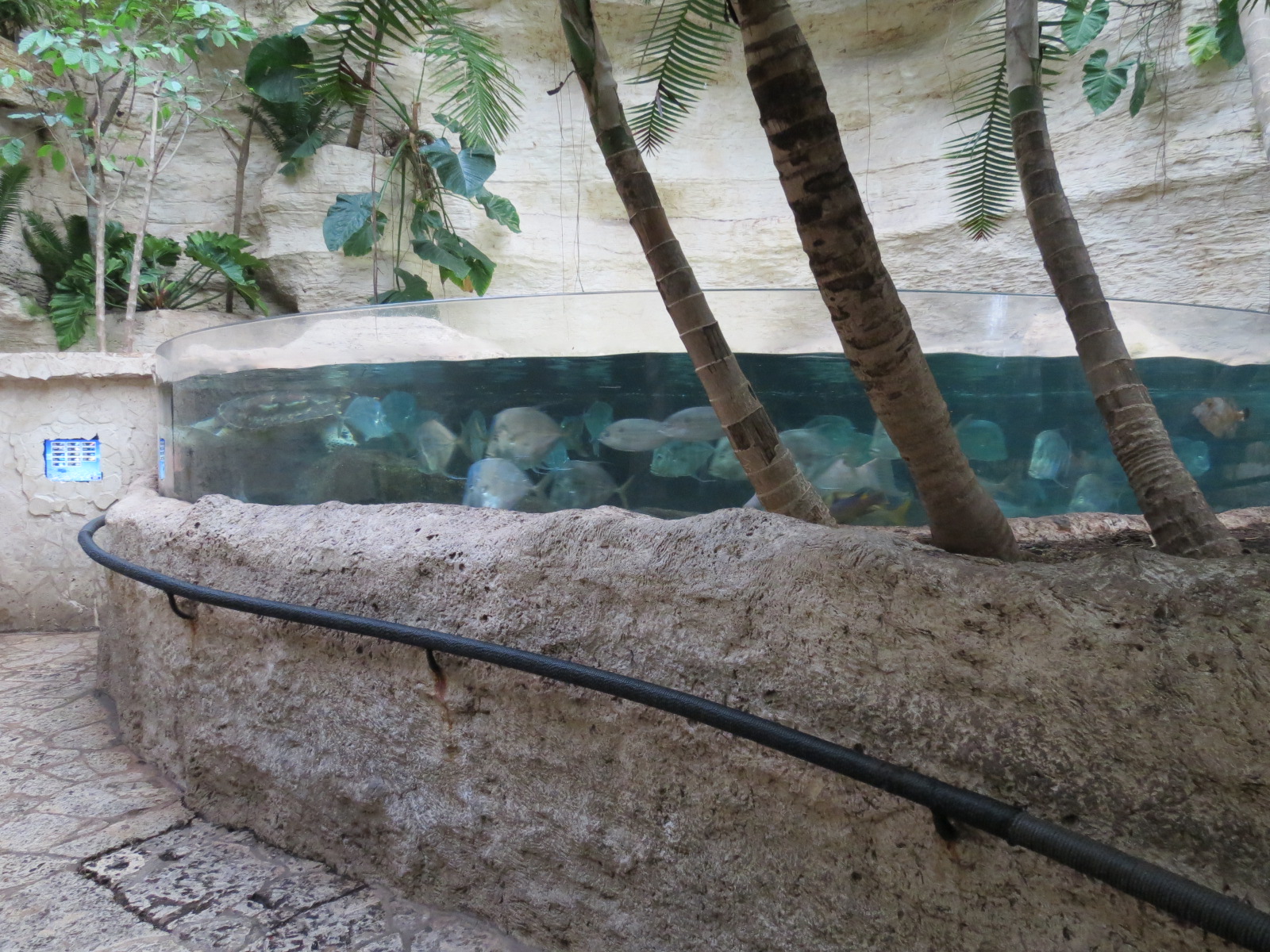 Mundo Maya - Caribbean Creatures Exhibit