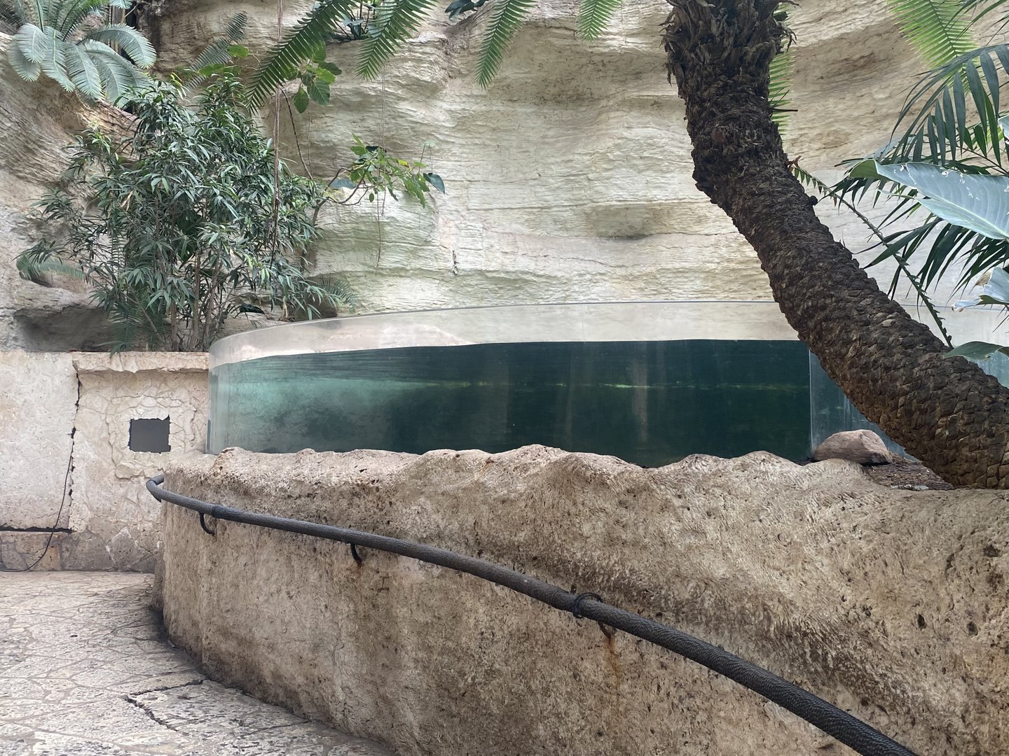 Mundo Maya - Caribbean Creatures Tank