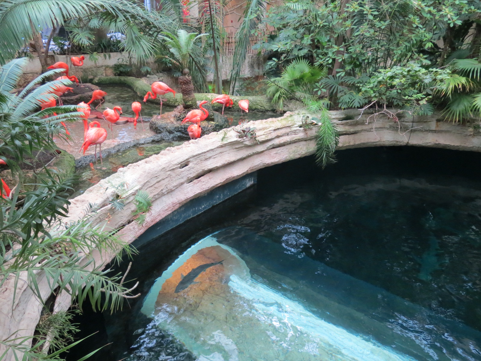 Mundo Maya - Caribbean Flamingo and Cenote Exhibits