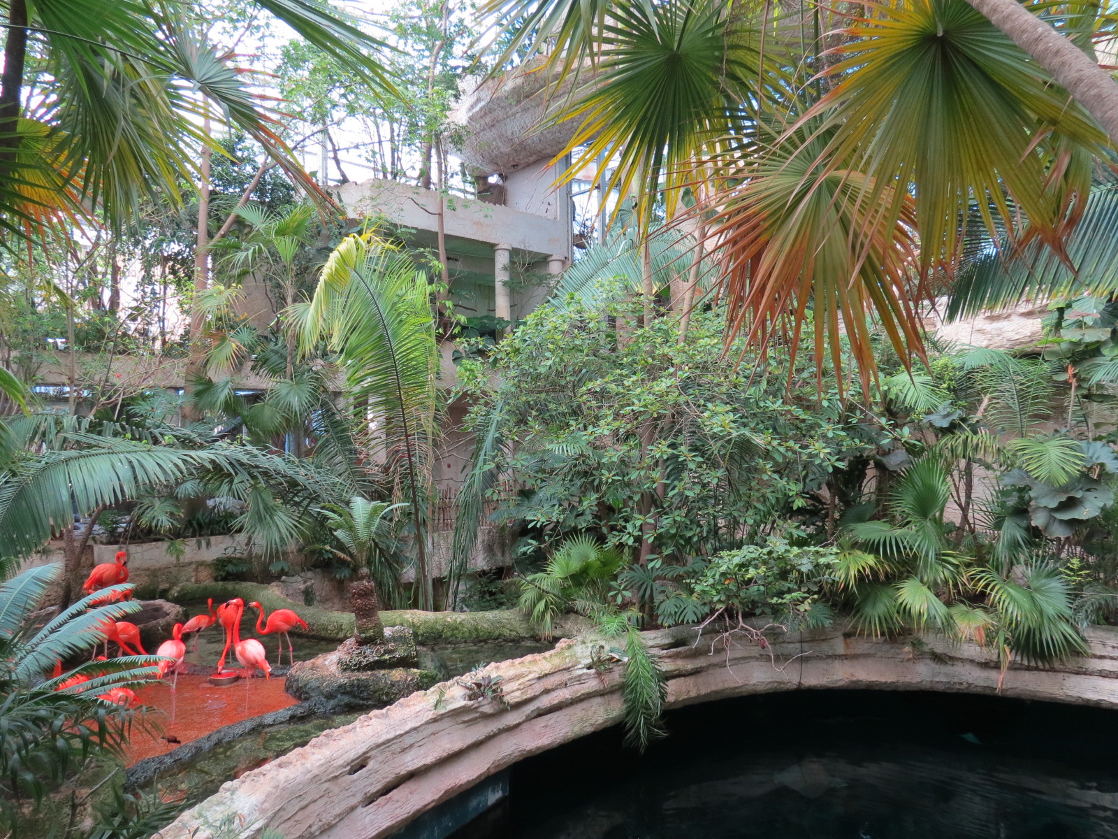Mundo Maya - Caribbean Flamingo Exhibit