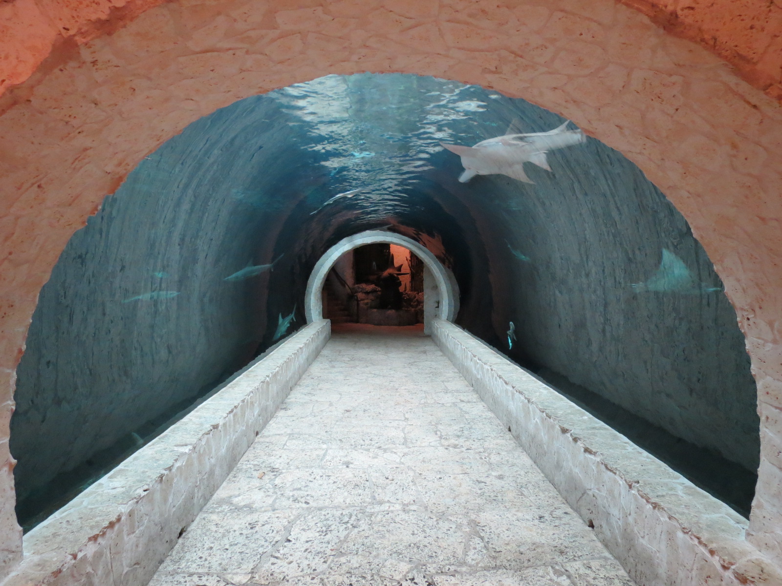 Mundo Maya - Cenote Exhibit
