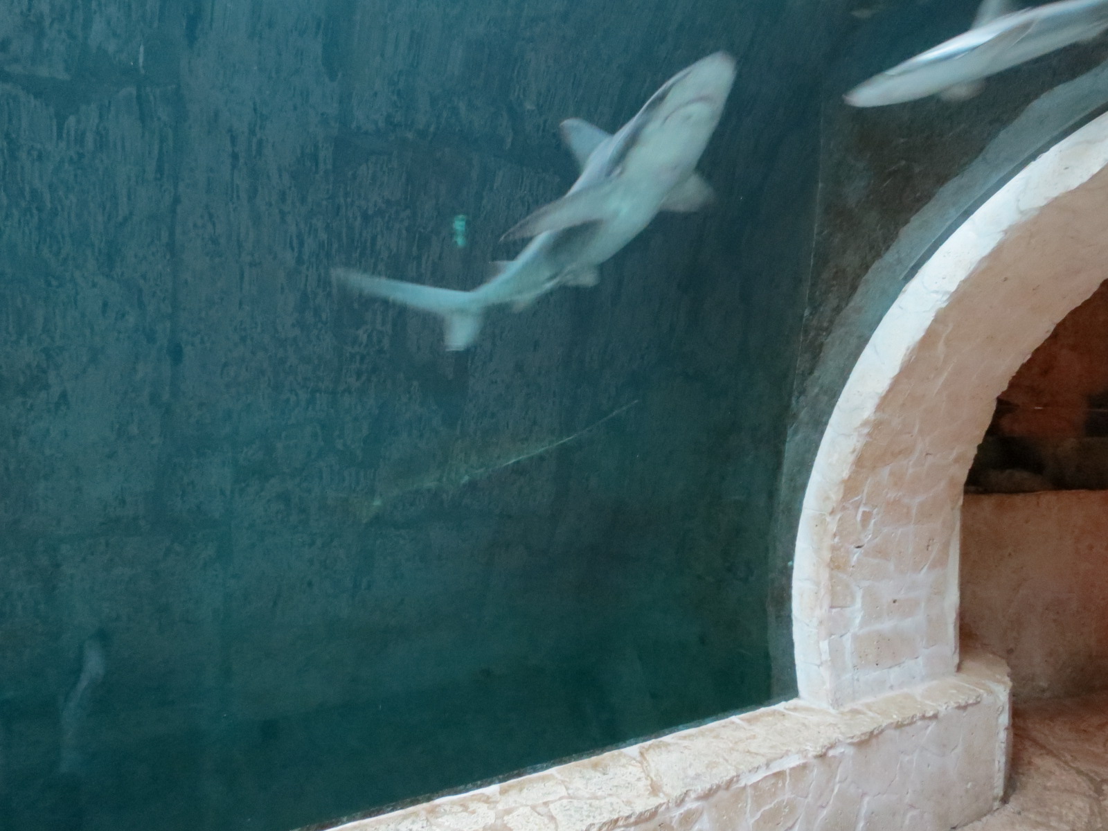 Mundo Maya - Cenote Exhibit