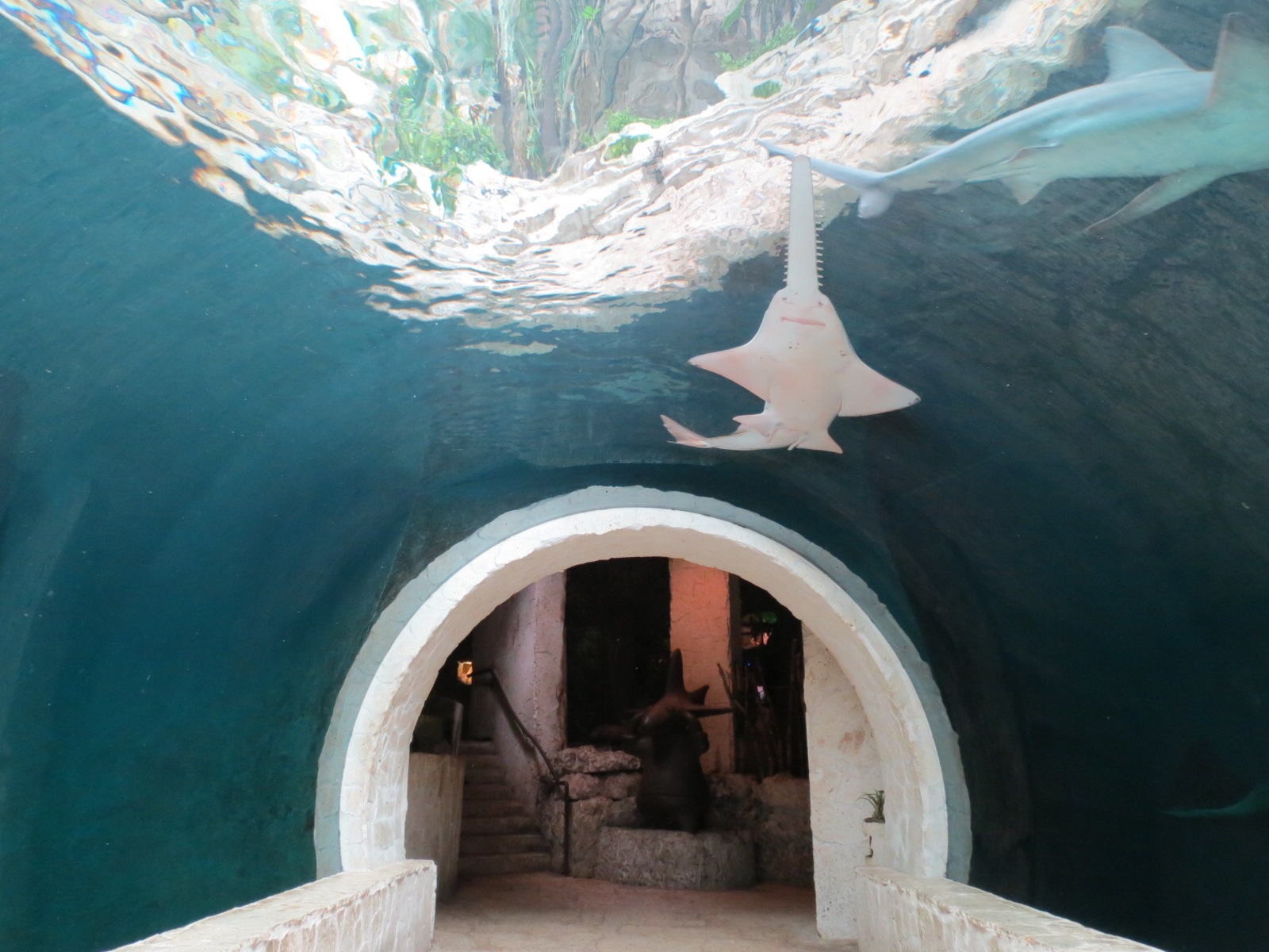 Mundo Maya - Cenote Exhibit