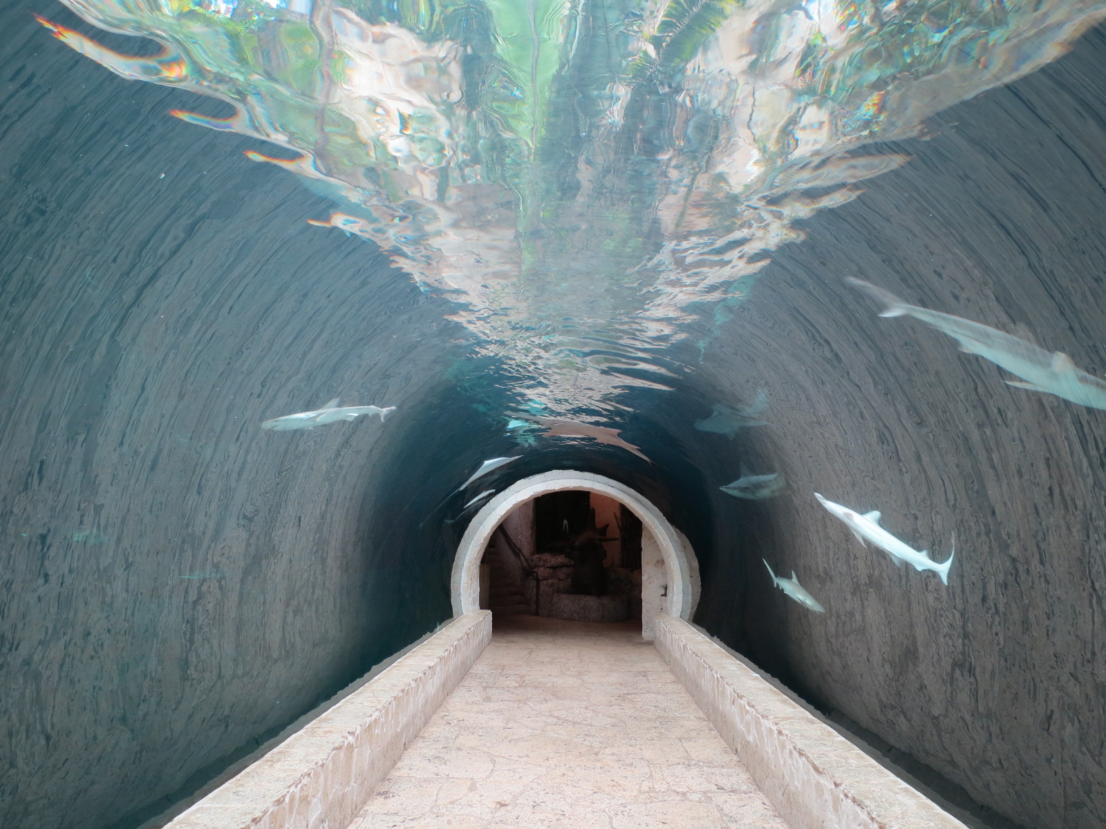 Mundo Maya - Cenote Exhibit